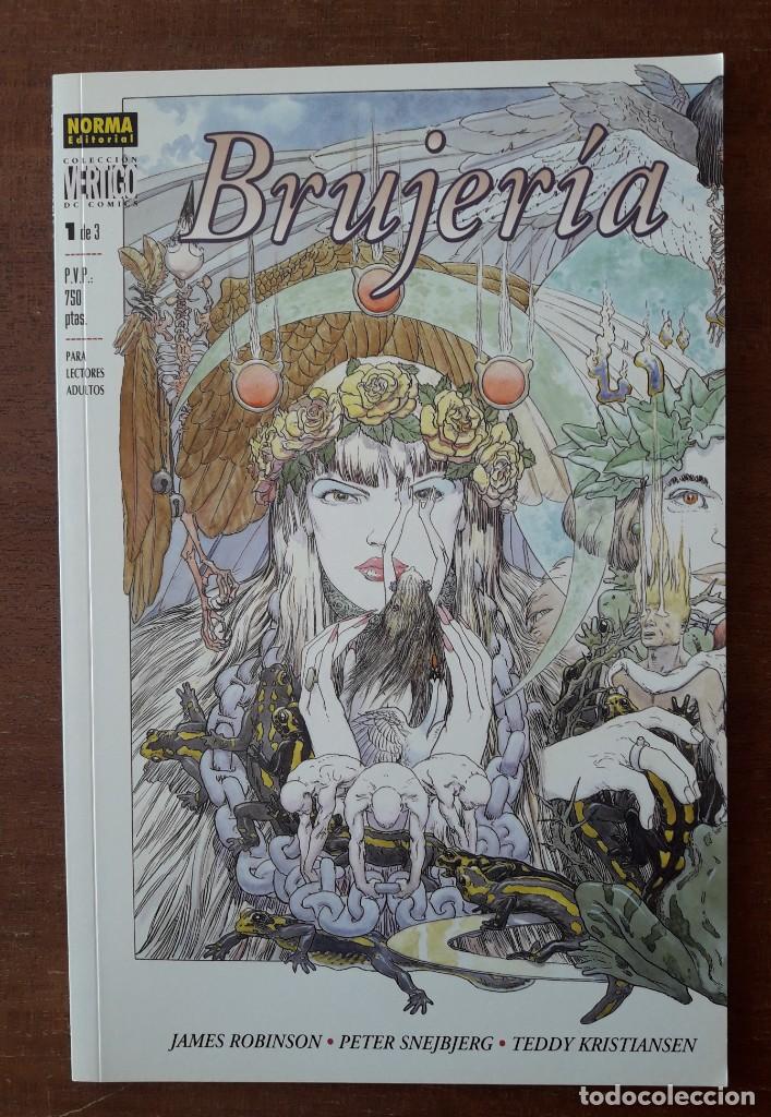 C&oacute;mics: BRUJER&Iacute;A N&ordm; 1 NORMA - COLECCION VERTIGO - Foto 1