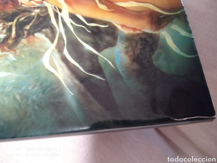 C&oacute;mics: COLECCI&Oacute;N LIBROS DE ILUSTRACIONES LUIS ROYO - Foto 7