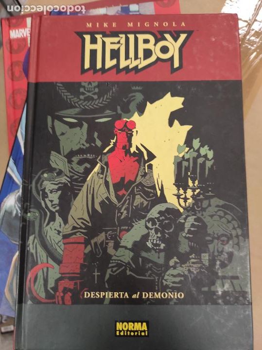 C&oacute;mics: HELLBOY DESPIERTA AL DEMONIO ( MIKE MIGNOLA ) Norma - Foto 1