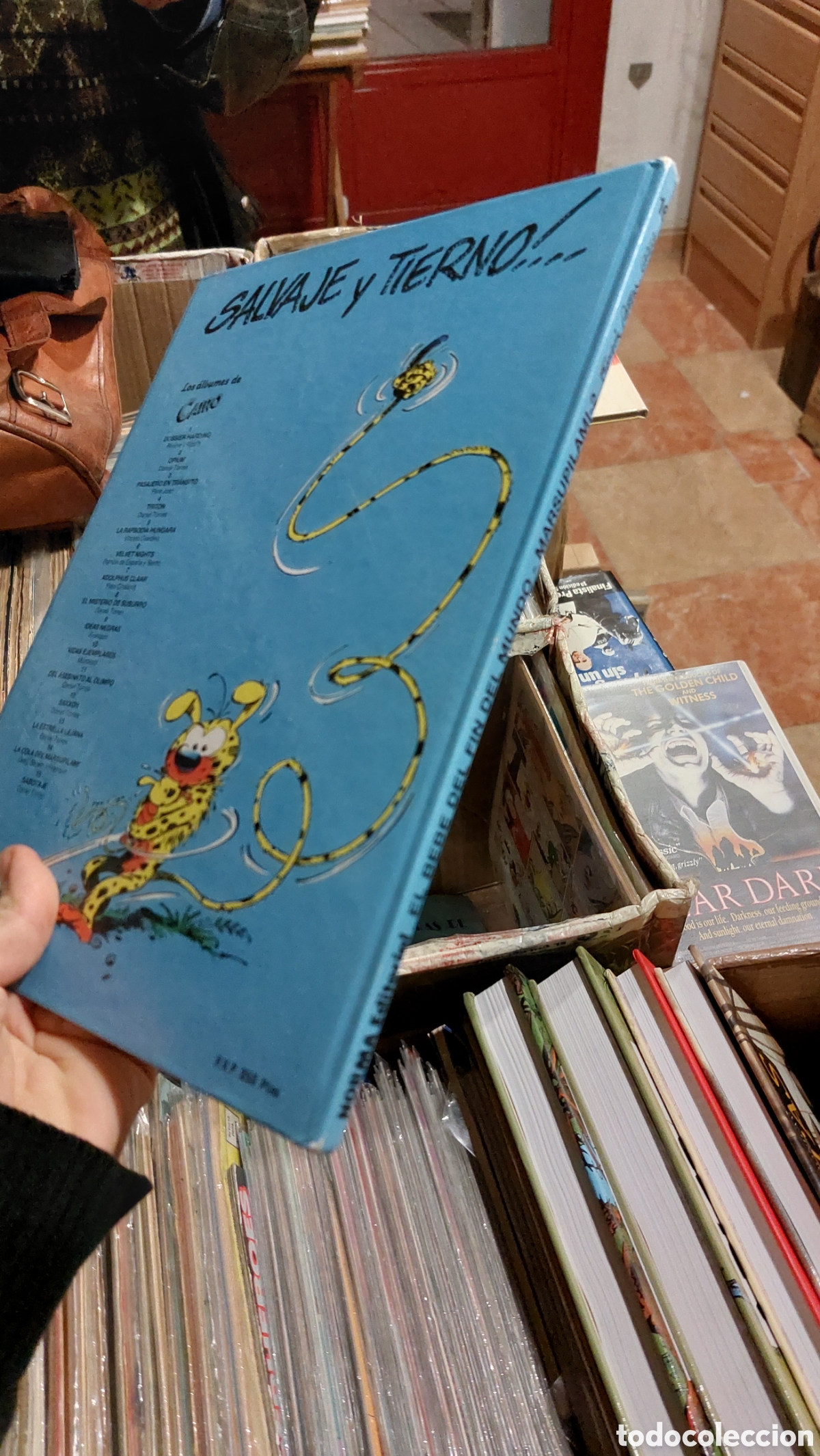 C&oacute;mics: Marsupilami: El beb&eacute; del fin del mundo - Foto 3