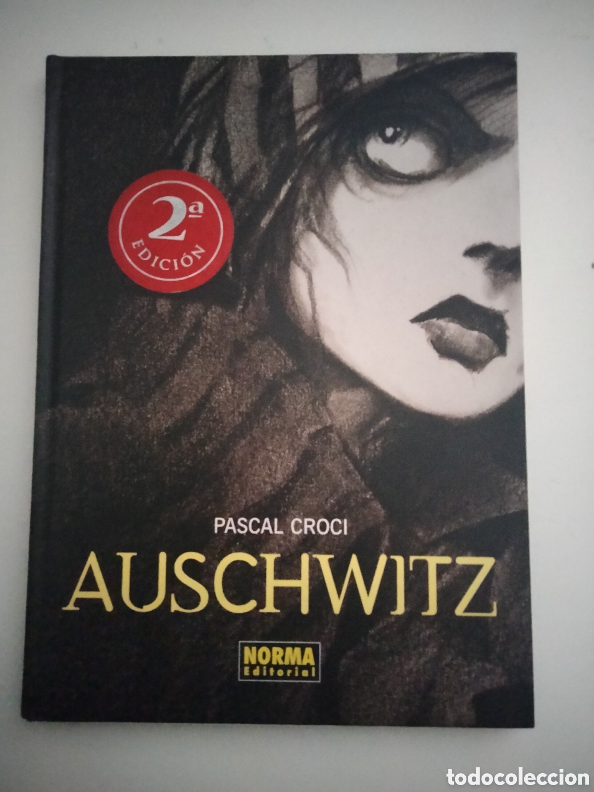 C&oacute;mics: Auschwitz - Foto 1