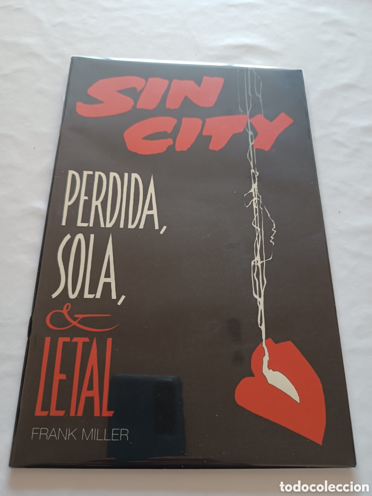 C&oacute;mics: Sin City: Perdida, sola y letal - Foto 1