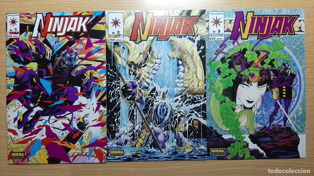 C&oacute;mics: NINJAK, 1, 2, 3. Universo Valiant - Norma Editorial - Foto 2