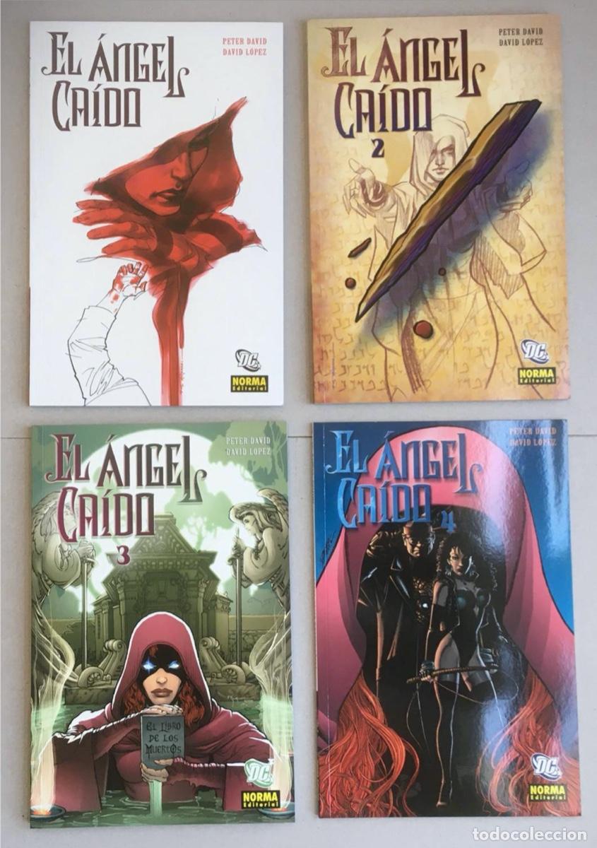 C&oacute;mics: El &Aacute;ngel Ca&iacute;do de Peter David y David L&oacute;pez - Foto 1