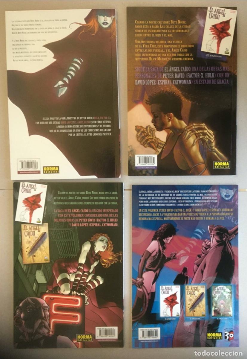 C&oacute;mics: El &Aacute;ngel Ca&iacute;do de Peter David y David L&oacute;pez - Foto 2