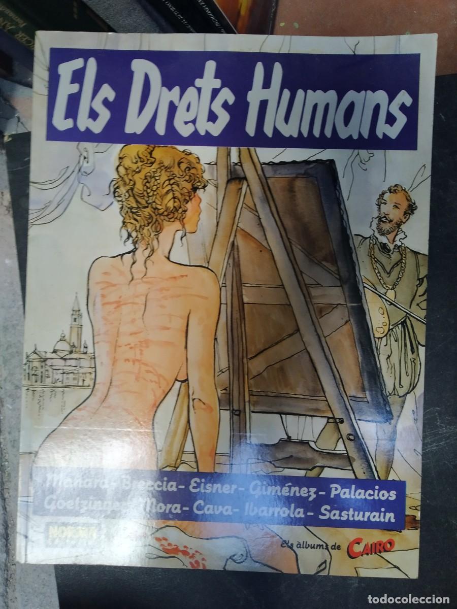 C&oacute;mics: Els Drets Humans (en catal&aacute;n) - Varios Autores - Foto 1