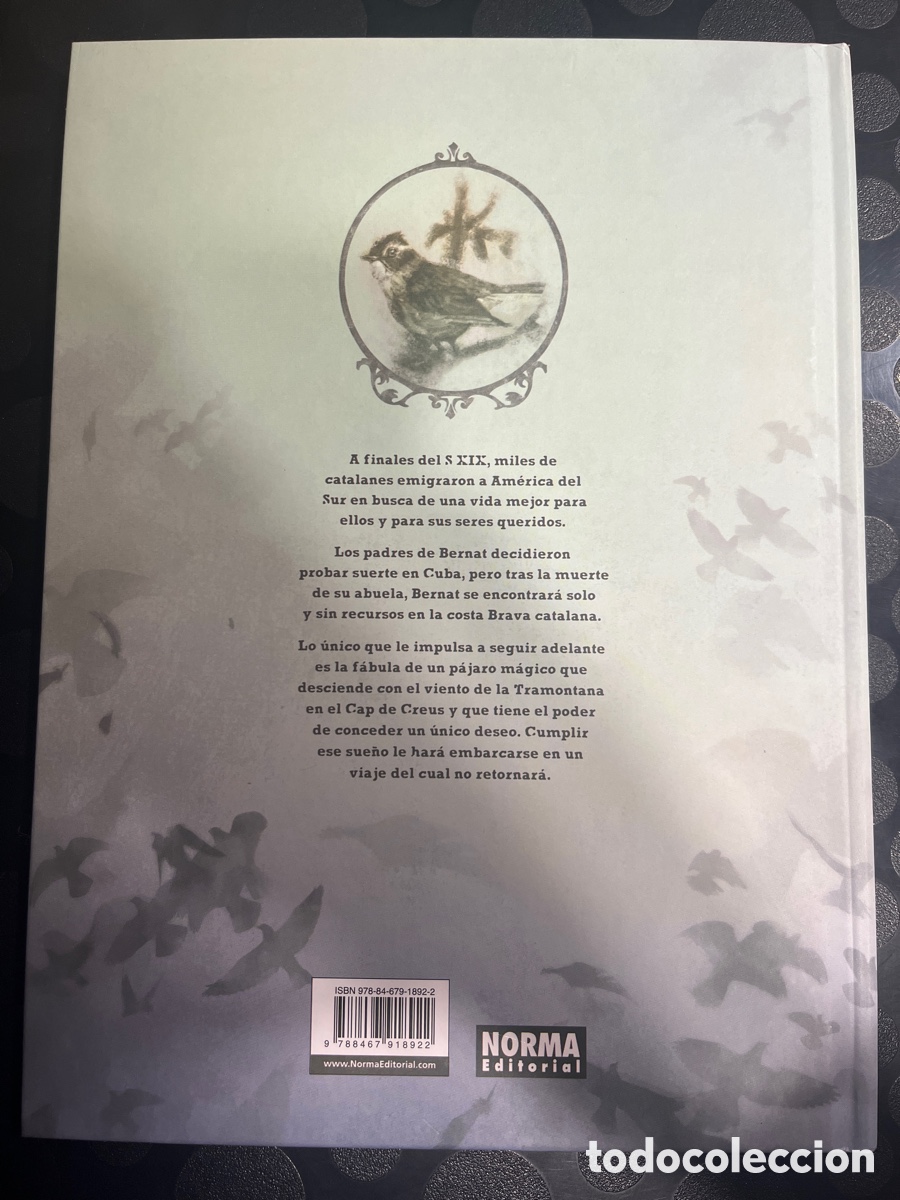 C&oacute;mics: P&Aacute;JARO INDIANO de BEL&Eacute;N ORTEGA ( 2015 ) - Foto 2