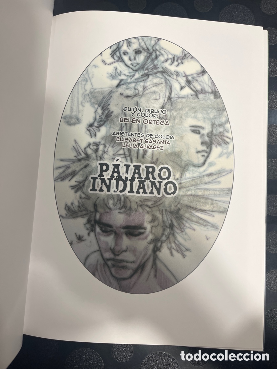 C&oacute;mics: P&Aacute;JARO INDIANO de BEL&Eacute;N ORTEGA ( 2015 ) - Foto 3
