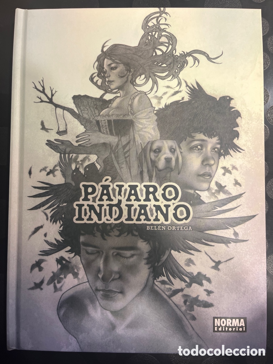 C&oacute;mics: P&Aacute;JARO INDIANO de BEL&Eacute;N ORTEGA ( 2015 ) - Foto 1
