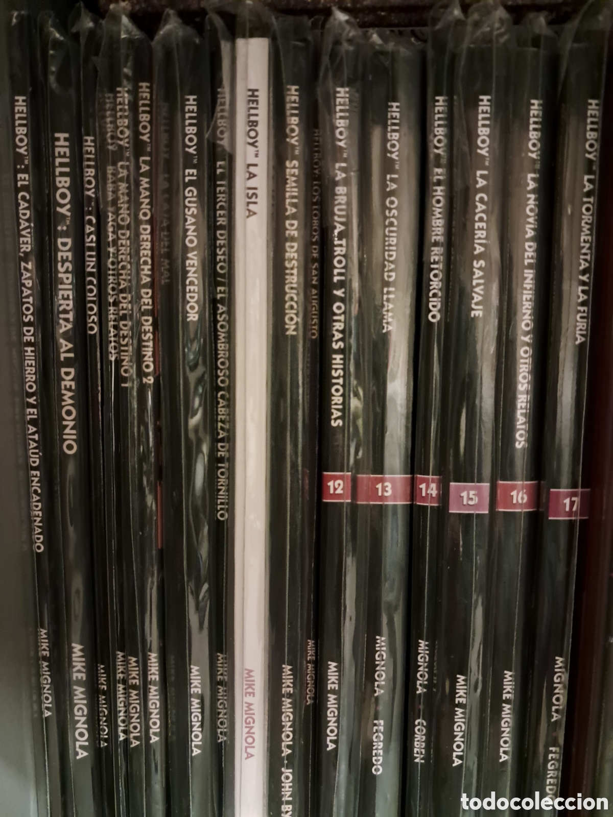 C&oacute;mics: Hellboy + AIDP Completa - Foto 7