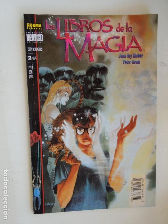C&oacute;mics: LOS LIBROS DE LA MAGIA - N&ordm; 41- COL VERTIGO - NORMA EDITORIAL - Foto 1