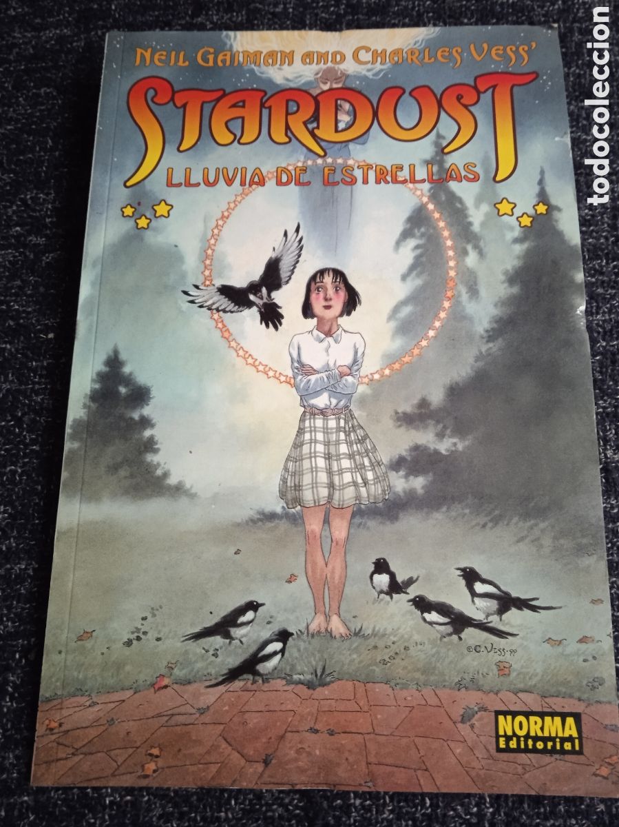 C&oacute;mics: STARDUST - LLUVIA DE ESTRELLAS DE NEIL GAIMAN -ED. NORMA - Foto 1