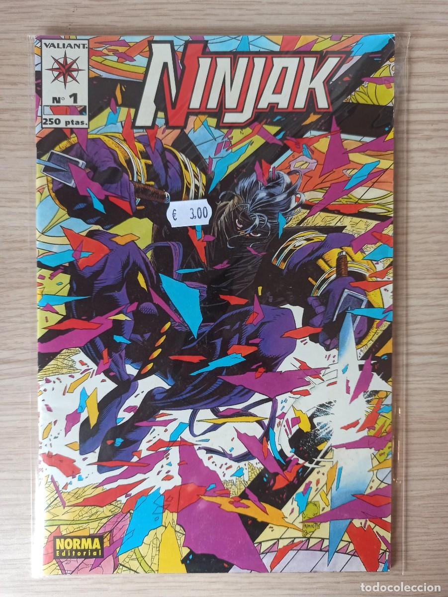 C&oacute;mics: NINJAK (Ed. Norma) N&ordm; 1 - Foto 1