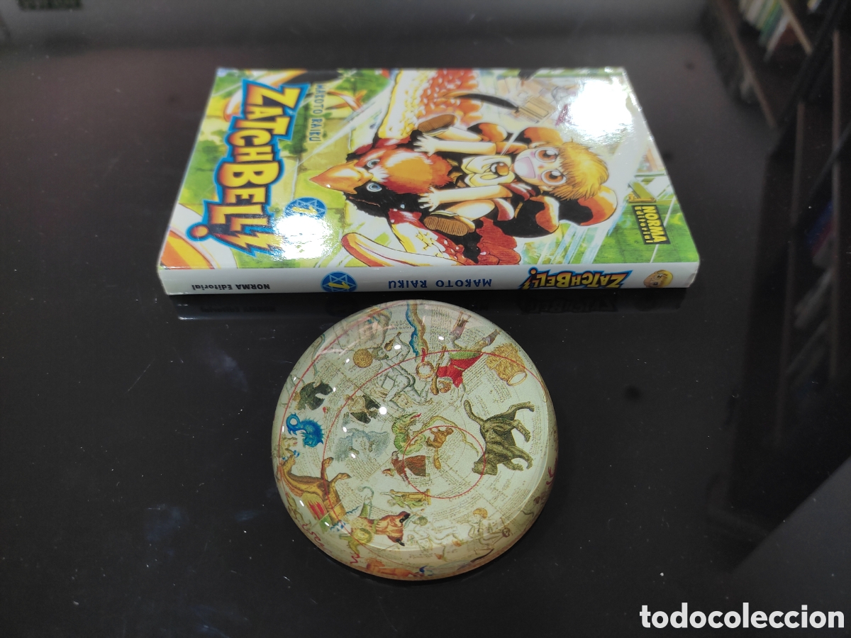 C&oacute;mics: Zatch Bell 1. Makoto Raiku - Foto 4