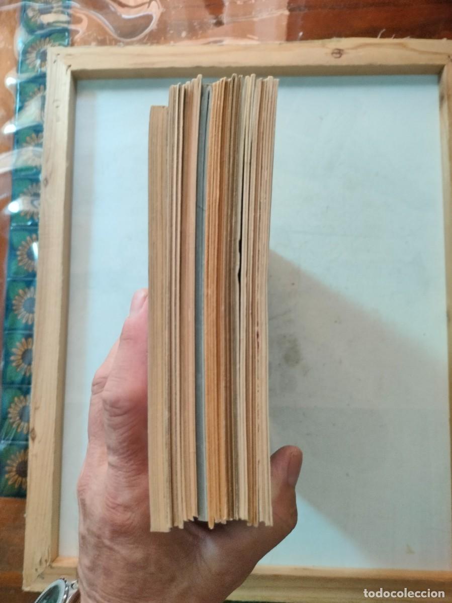 C&oacute;mics: PREDATOR 7 MINISERIES COMPLETAS( 22 N&Uacute;MEROS EN TOTAL).NORMA EDITORIAL. - Foto 5