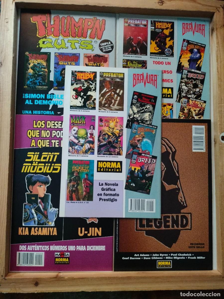 C&oacute;mics: PREDATOR 7 MINISERIES COMPLETAS( 22 N&Uacute;MEROS EN TOTAL).NORMA EDITORIAL. - Foto 13