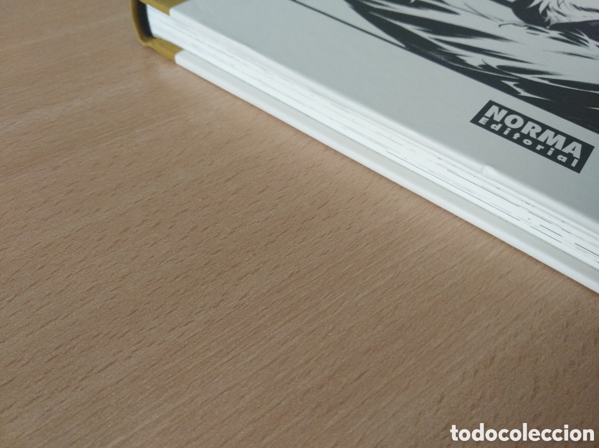 C&oacute;mics: EL DIOS SALVAJE. Vehlmann / Roger. Edici&oacute;n de Lujo en B/N - Foto 2