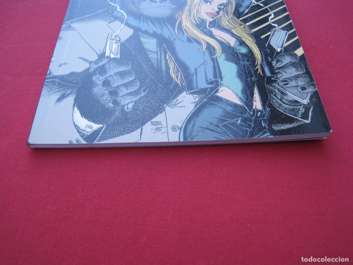 C&oacute;mics: ANGEL Y EL MONO - N&ordm; 245 - NORMA EDITORIAL. - Foto 2