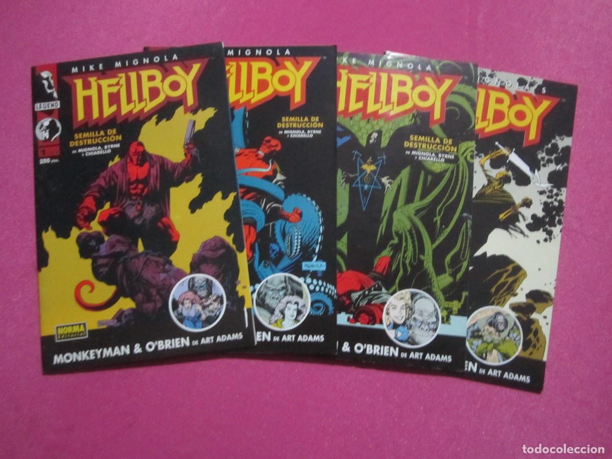 C&oacute;mics: HELLBOY SEMILLAS DE DESTRUCCION 4 COMPLETA MIGNOLA L14 6 - Foto 1
