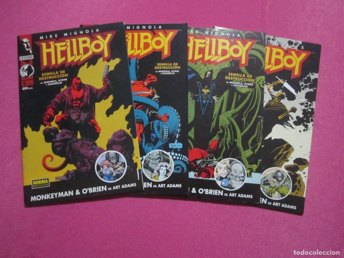 C&oacute;mics: HELLBOY SEMILLAS DE DESTRUCCION 4 COMPLETA MIGNOLA L14 6 - Foto 2