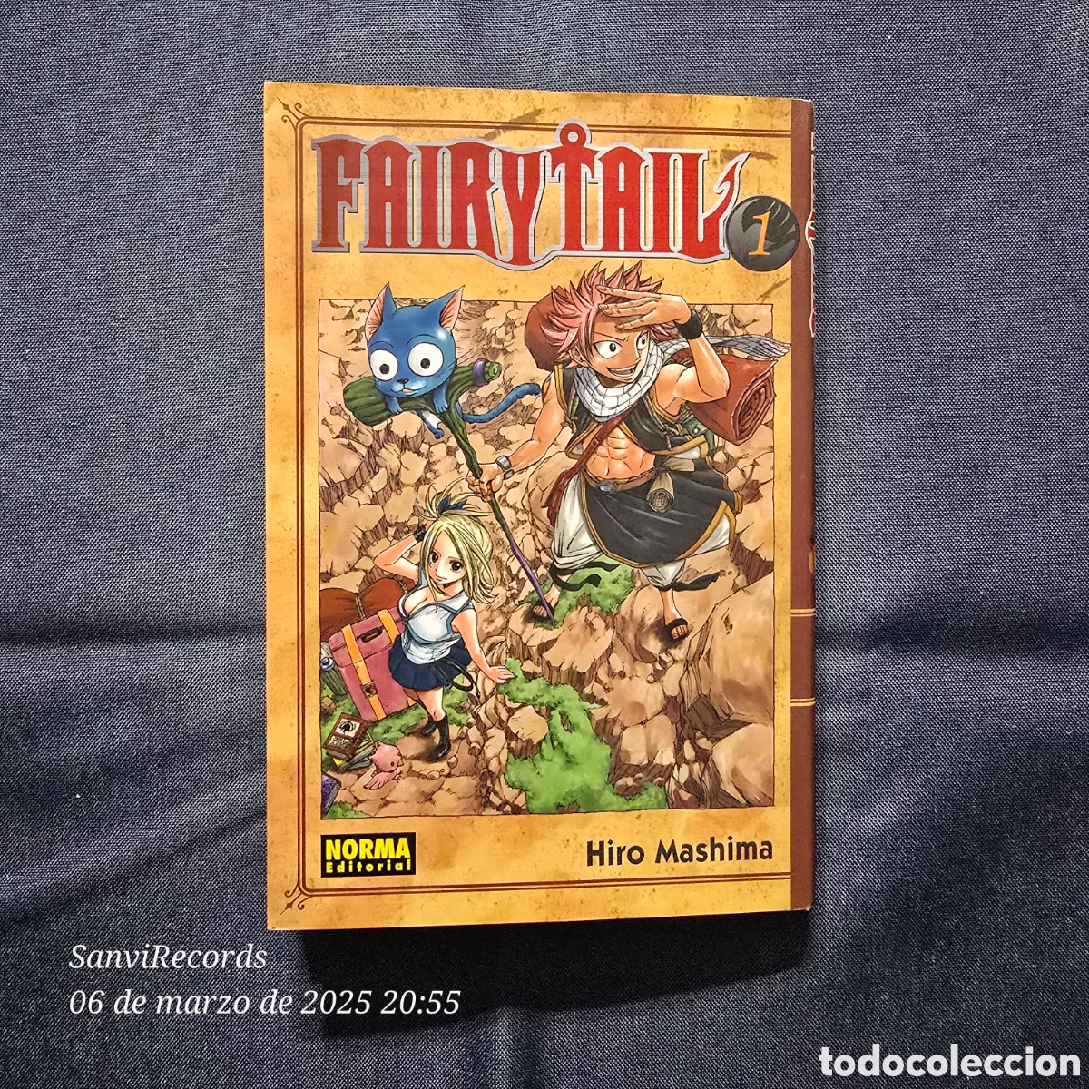 C&oacute;mics: FAIRYTAIL 1 (HIRO MASHIMA) (NORMA EDITORIAL) - Foto 1