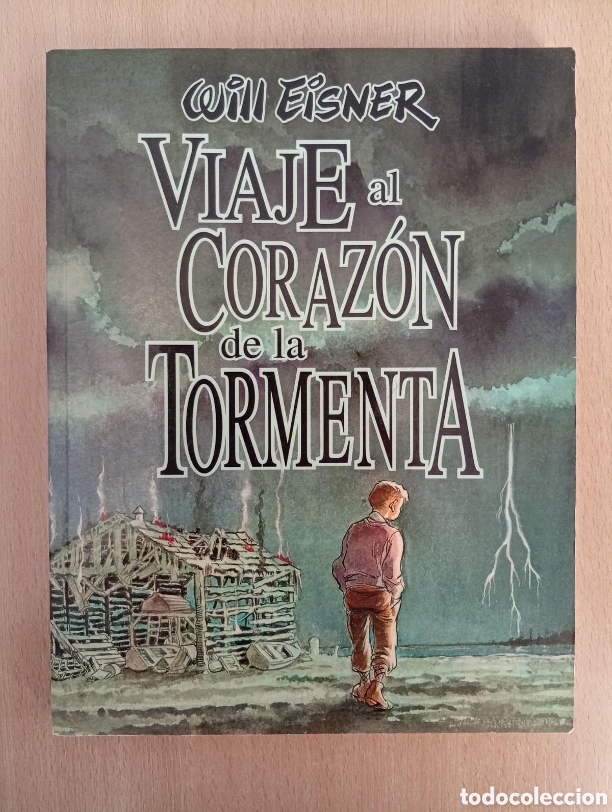 C&oacute;mics: VIAJE AL CORAZ&Oacute;N DE LA TORMENTA. Will Eisner - Foto 1