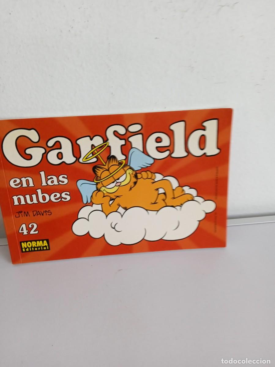 C&oacute;mics: GARFIELD En las nubes N&ordm; 42 - Foto 1