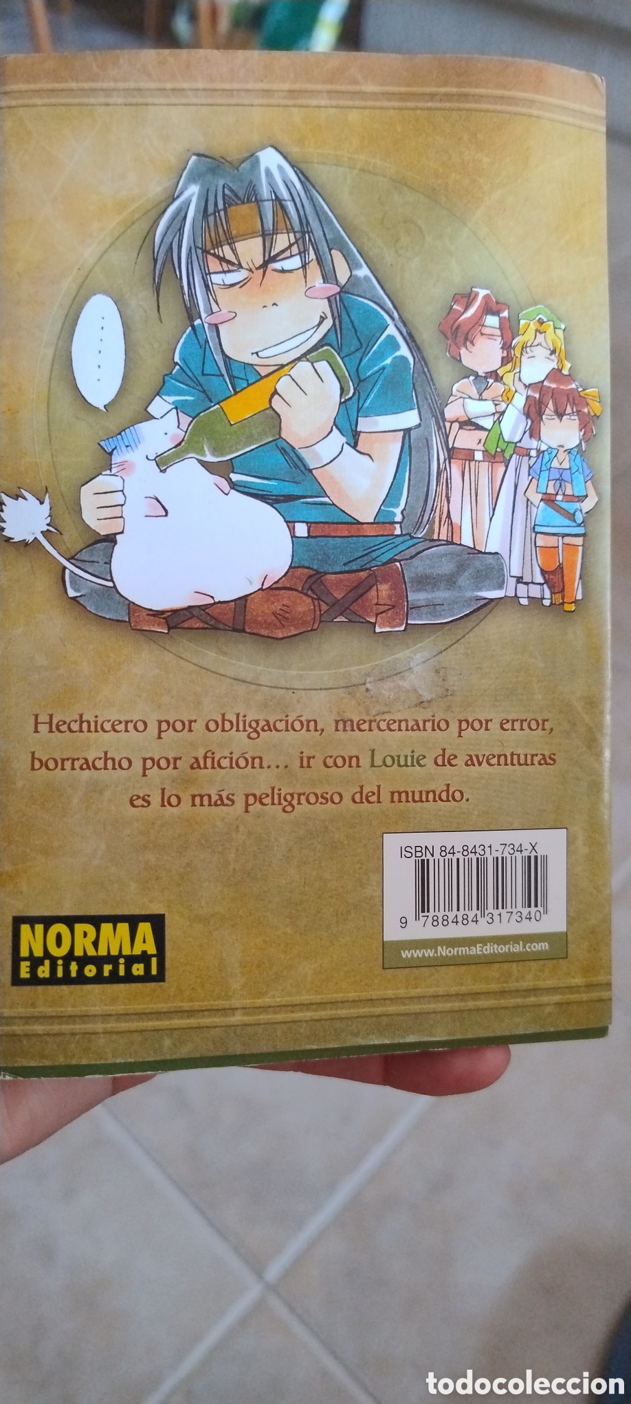 C&oacute;mics: Louie el guerrero de las runas 3 - Foto 2