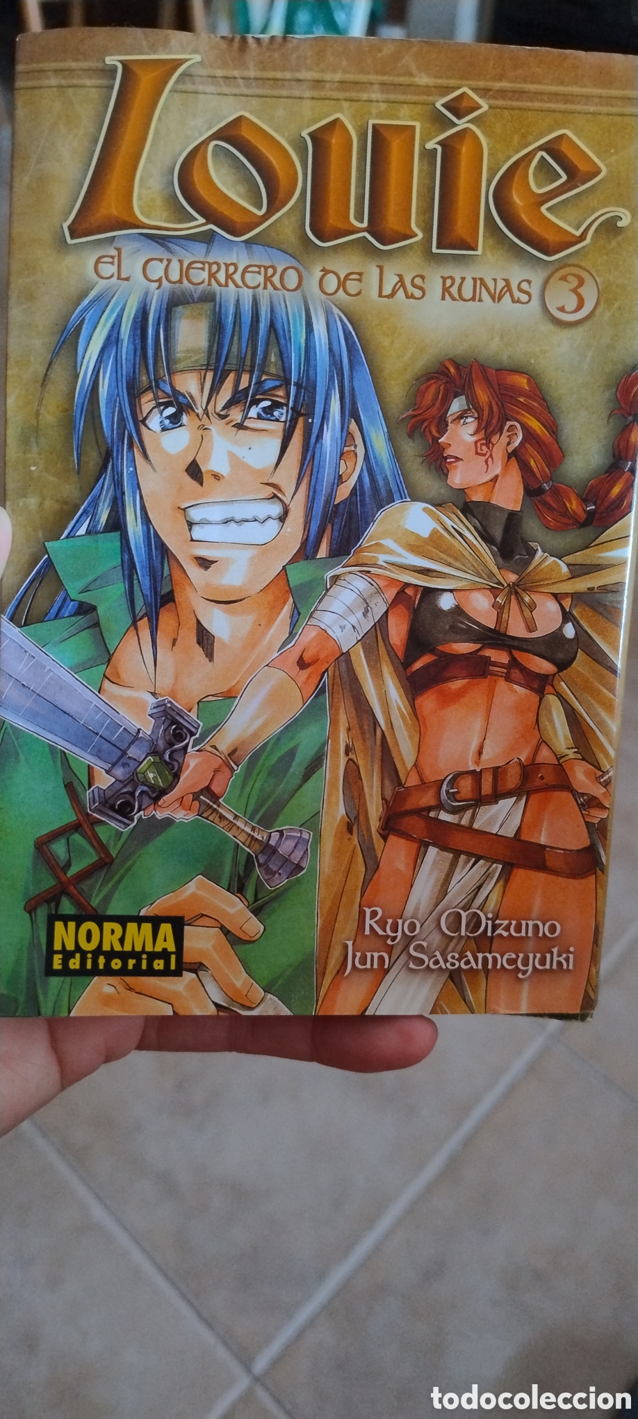 C&oacute;mics: Louie el guerrero de las runas 3 - Foto 1
