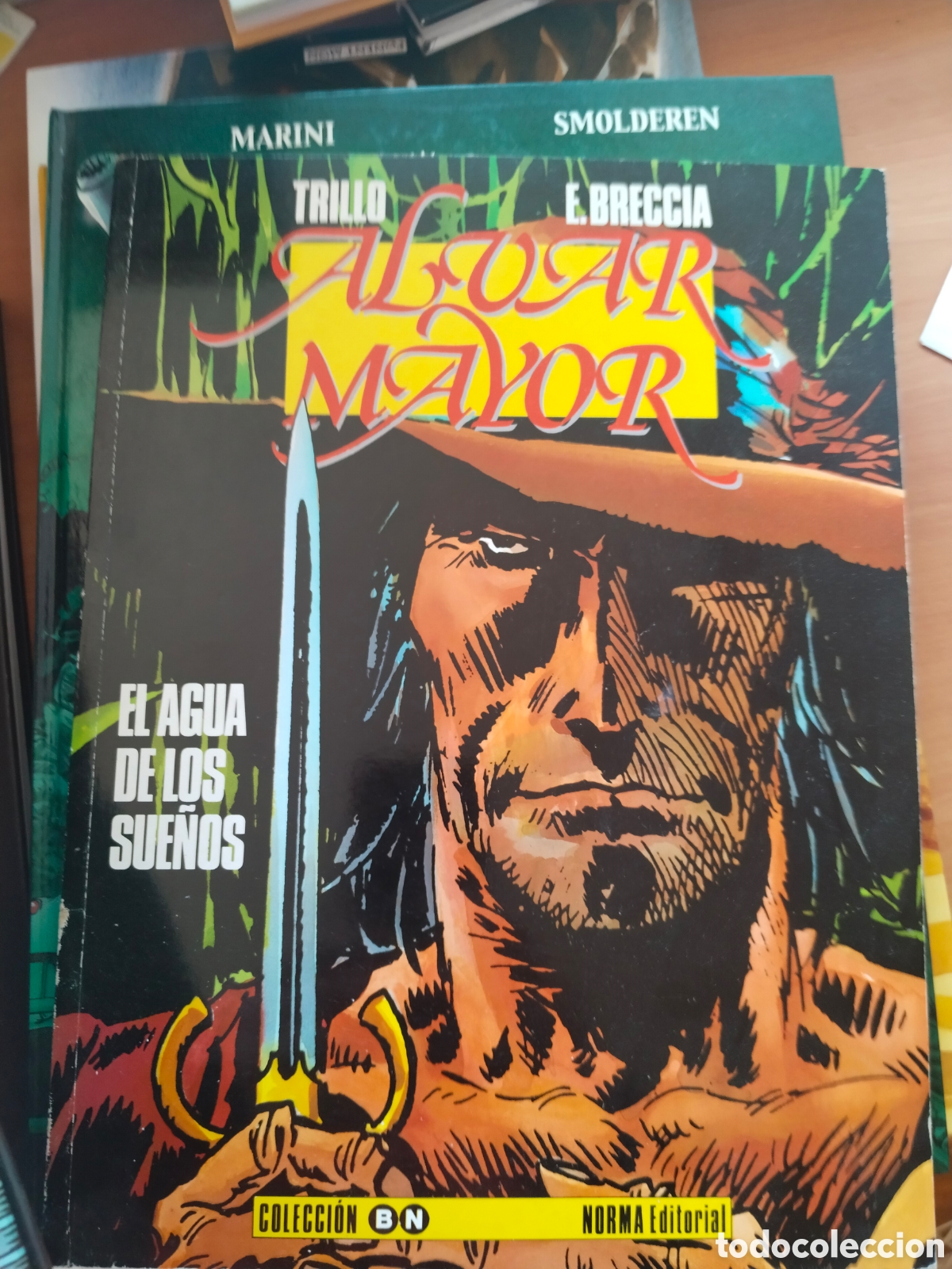 C&oacute;mics: El Agua de Los Sue&ntilde;os. Trillo y Breccia - Foto 1
