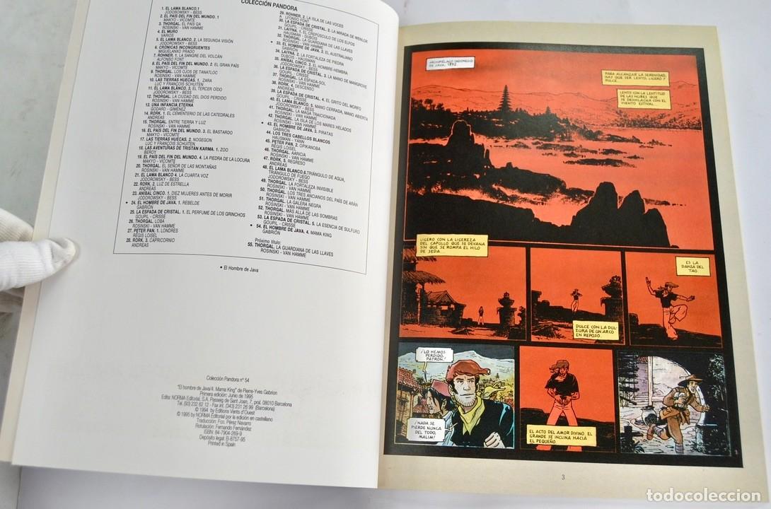 C&oacute;mics: Gabrion. 2 c&oacute;mics de El Hombre de Java. &rdquo;Mama King&rdquo;. &rdquo;El Australiano&rdquo;. Norma Editorial - Foto 7