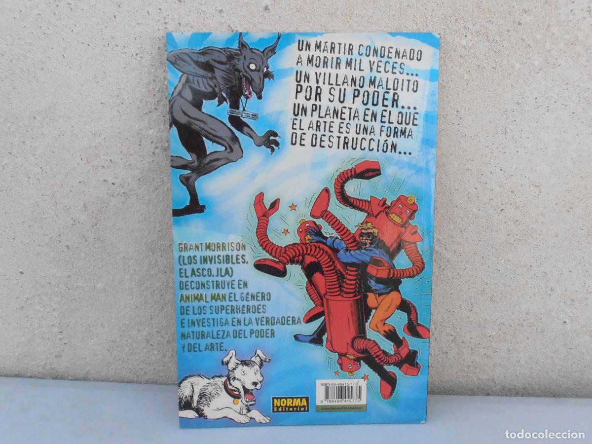 C&oacute;mics: COMIC, ANIMAL MAN, EL EVANGELIO DEL COYOTE, VERTIGO, NORMA EDITORIAL - Foto 2