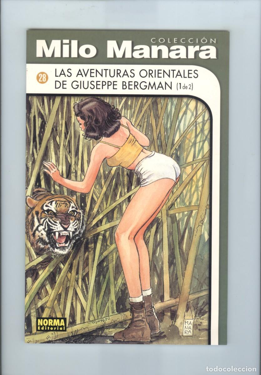 C&oacute;mics: Norma. Milo Manara. Colecci&oacute;n. 28. - Foto 1