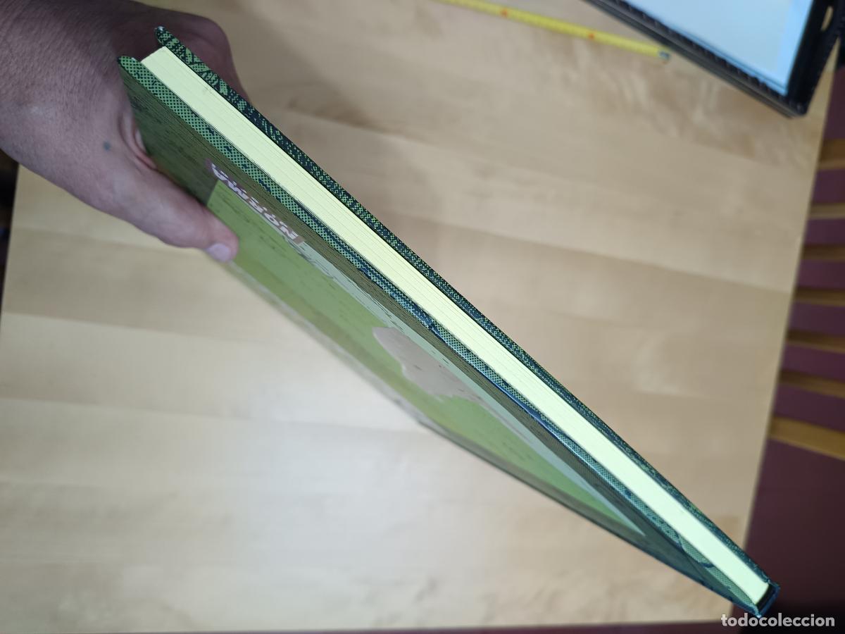 C&oacute;mics: Los Ojos Del Gato MOEBIUS limitado 500 ejem - Foto 7