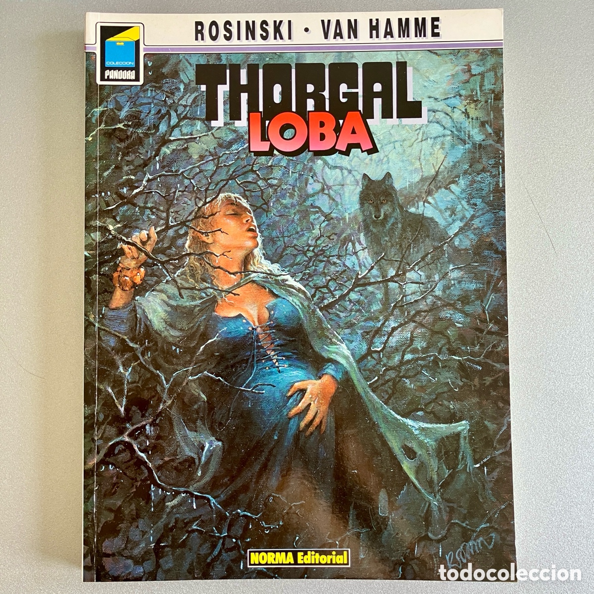 C&oacute;mics: Lote 10 tomos Thorgal, Rosinski - Norma - Excelente - Foto 12