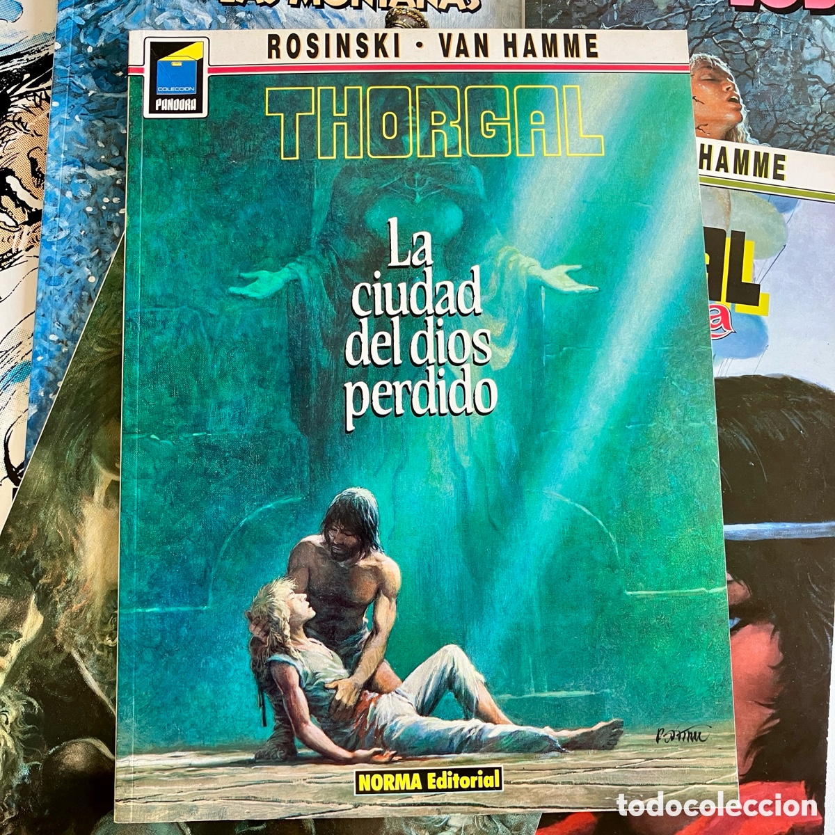 C&oacute;mics: Lote 10 tomos Thorgal, Rosinski - Norma - Excelente - Foto 13
