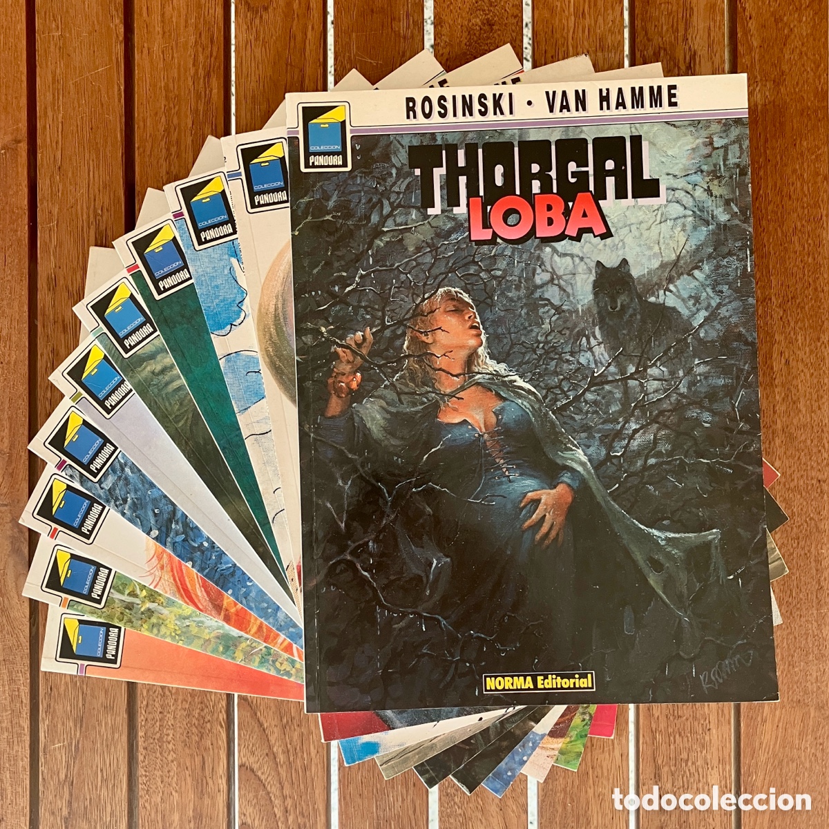 C&oacute;mics: Lote 10 tomos Thorgal, Rosinski - Norma - Excelente - Foto 1