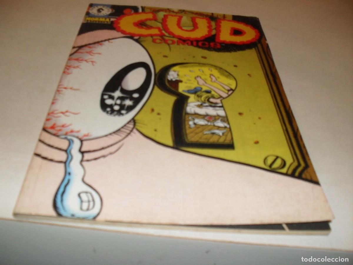 C&oacute;mics: CUD COMICS,N&ordm; UNICO,DE TERRY LABAN.NORMA,A&Ntilde;O 1996 - Foto 1