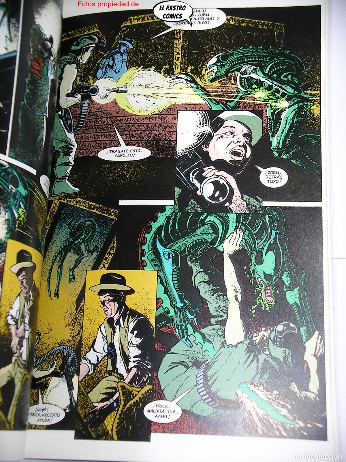 C&oacute;mics: Aliens, Platinum, ed Norma 1995 - Foto 4