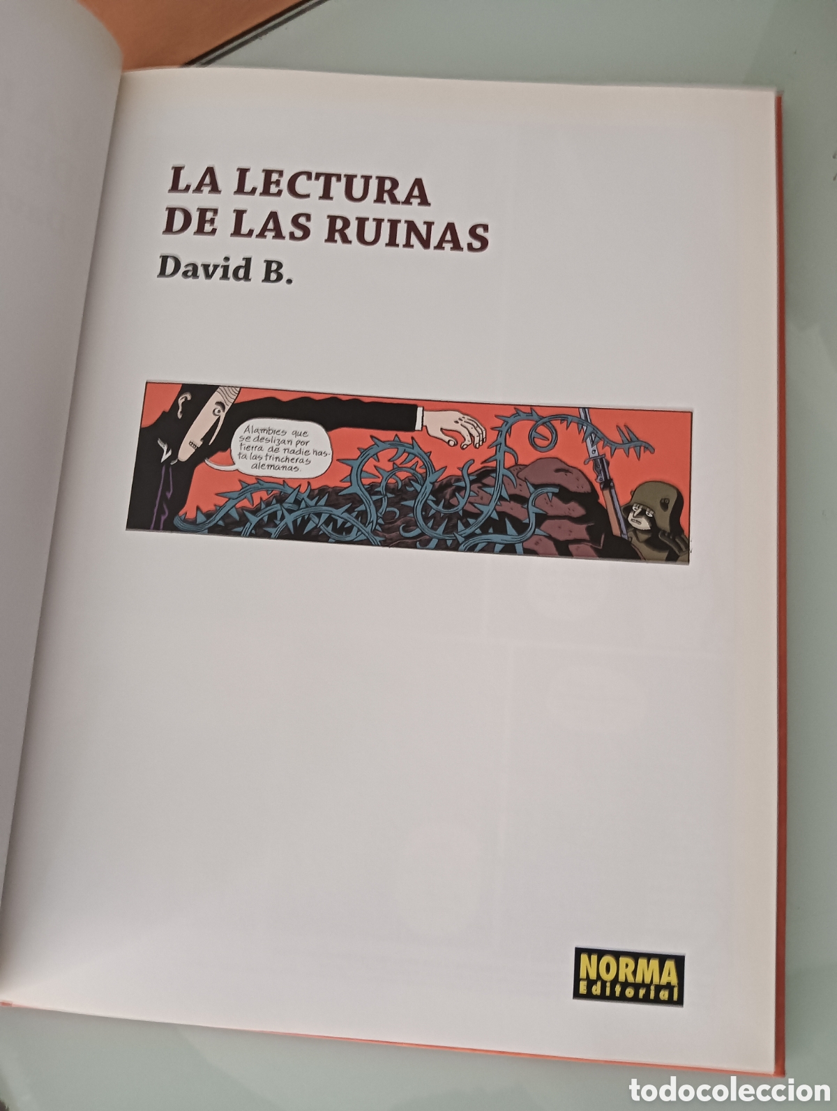 C&oacute;mics: LA LECTURA DE LAS RUINAS DAVID B. - Foto 6