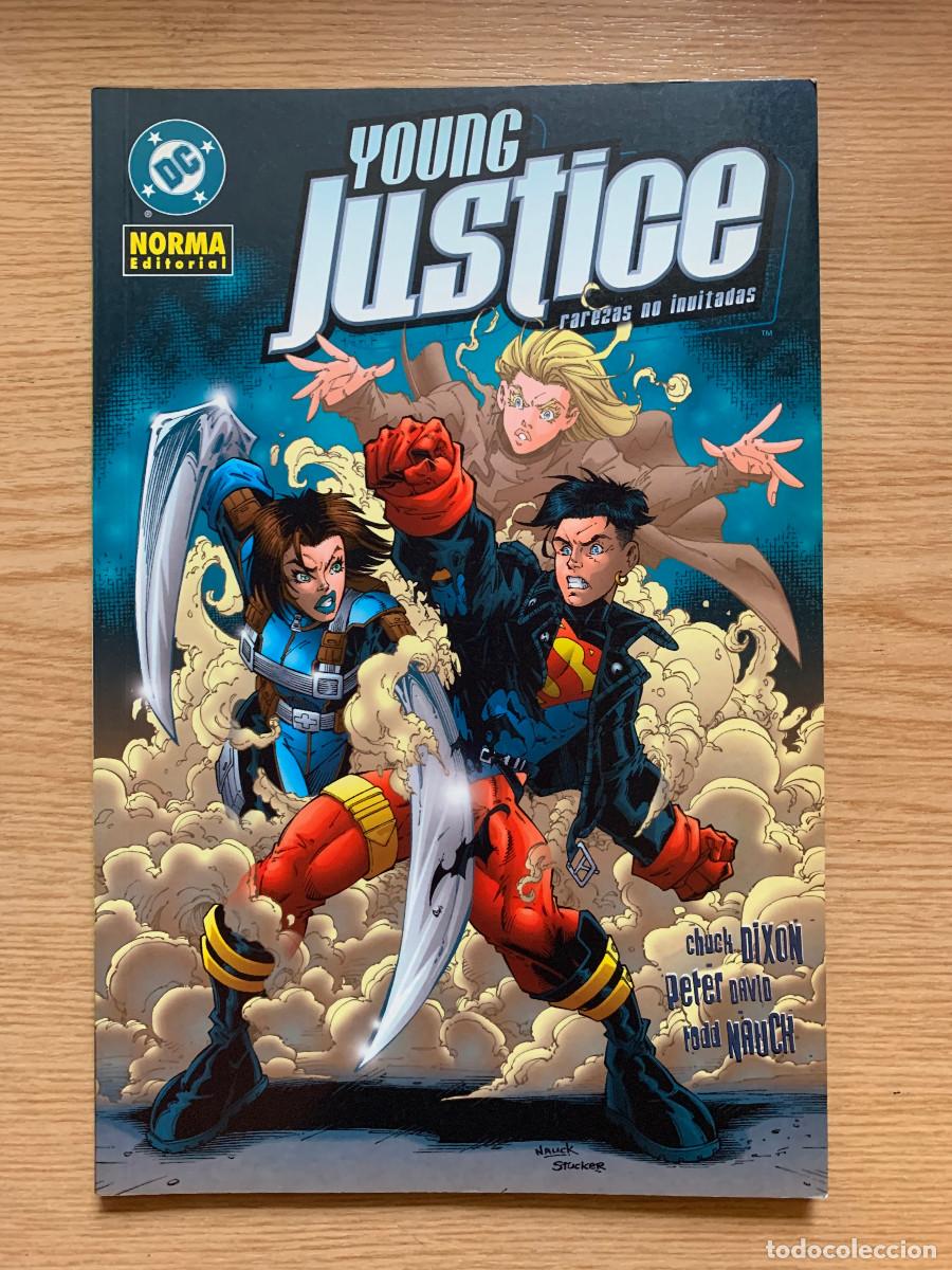 C&oacute;mics: Young Justice: Rarezas No Invitadas - Excelente Estado - Foto 1