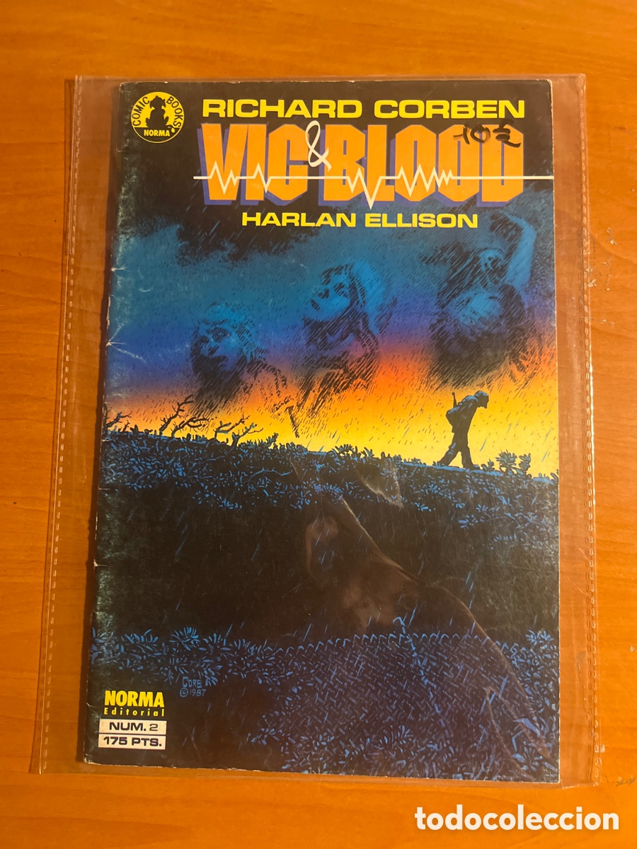 C&oacute;mics: RICHARD CORBEN, N&Uacute;MERO 2, (NORMA EDITORIAL) - Foto 1