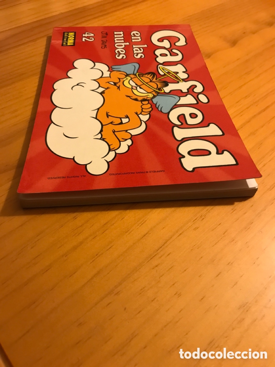 C&oacute;mics: Garfield 42 / en las nubes - Foto 3