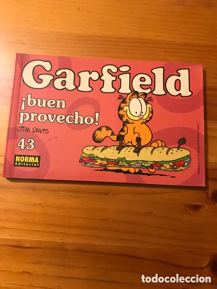 C&oacute;mics: Garfield 43 / &iexcl;Buen provecho! - Foto 1