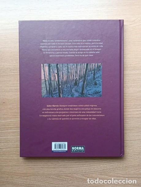 C&oacute;mics: C&oacute;mic Un oscuro manto - Foto 2