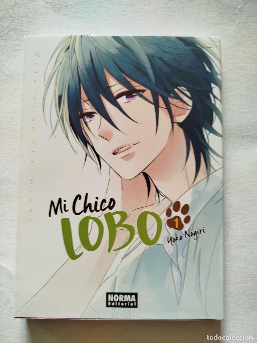 C&oacute;mics: Mi chico lobo. Yoko Nogiri - Foto 1