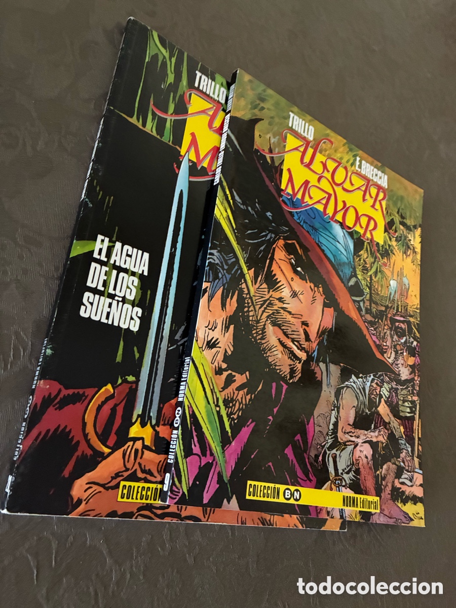 C&oacute;mics: ALVAR MAYOR - Trillo y Breccia - Foto 3