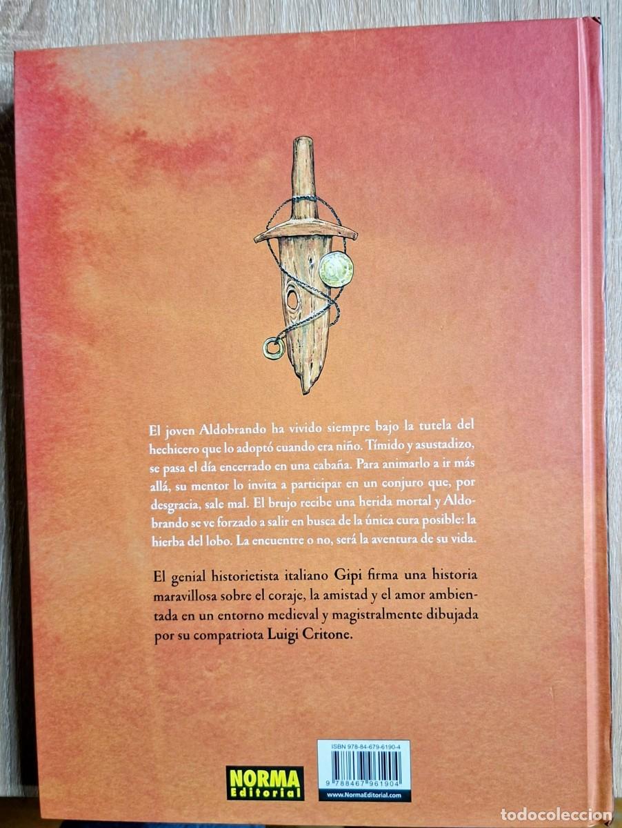 C&oacute;mics: ALDOBRANDO de Gipi y Luigi Critone - Foto 2