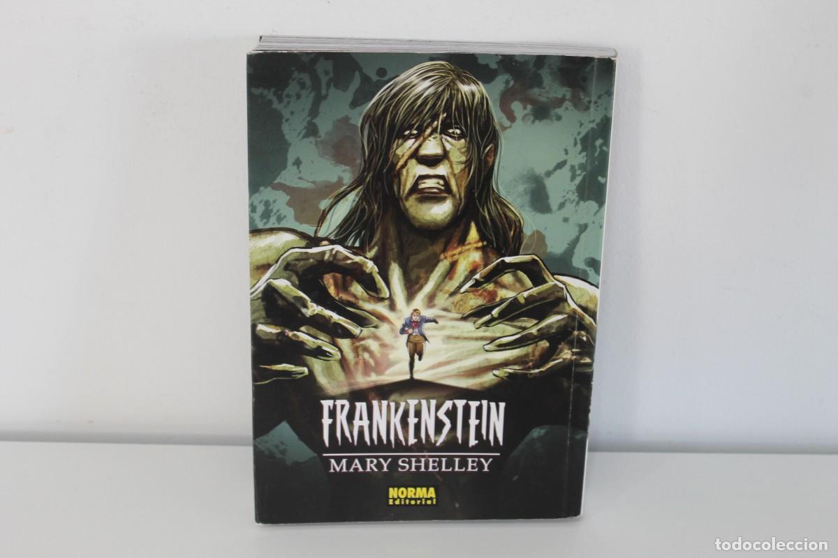 C&oacute;mics: FRANKENSTEIN MARY SHELLEY NORMA EDITORIAL - Foto 1