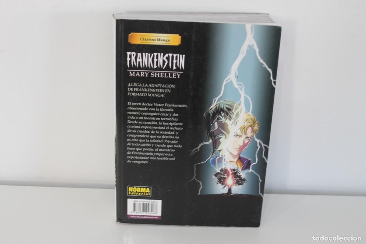 C&oacute;mics: FRANKENSTEIN MARY SHELLEY NORMA EDITORIAL - Foto 2